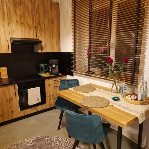 Magdalena Green Studio Centrum Urania, hotel em Olsztyn
