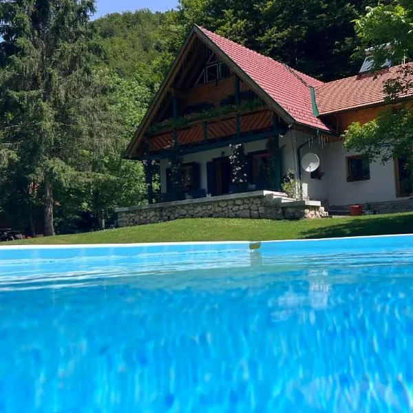 Pensiunea Ioana, hotel em Borlova