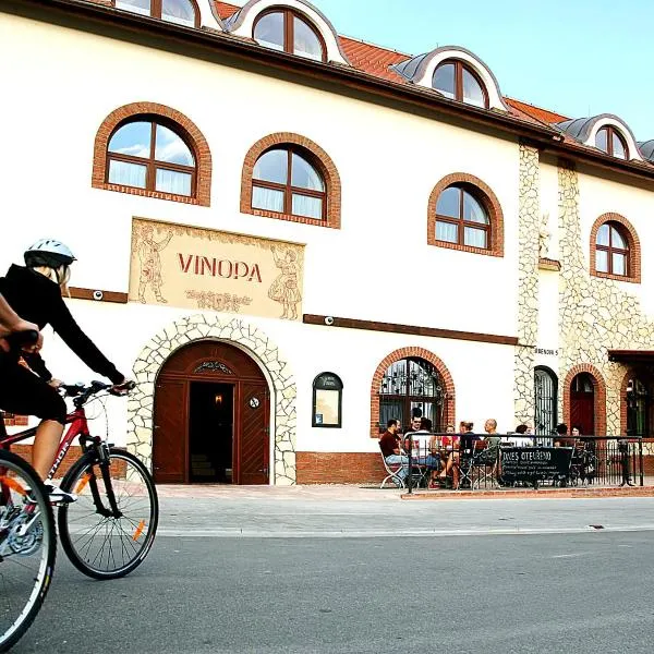 Hotel Vinopa، فندق في هستوبيس