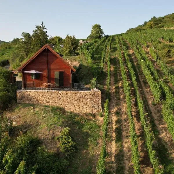 Le chalet du Hibou – hotel w mieście Westhalten