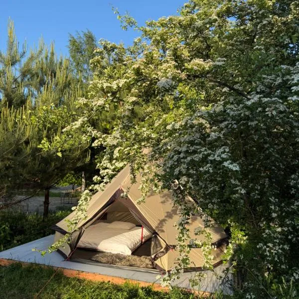 Pine Nest Glamping, hotel i Vilnius