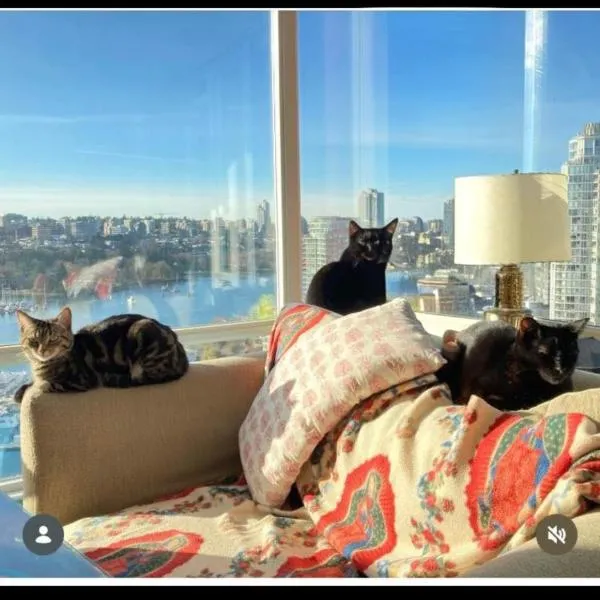 Cat-stle In The Sky, hotell Vancouveris