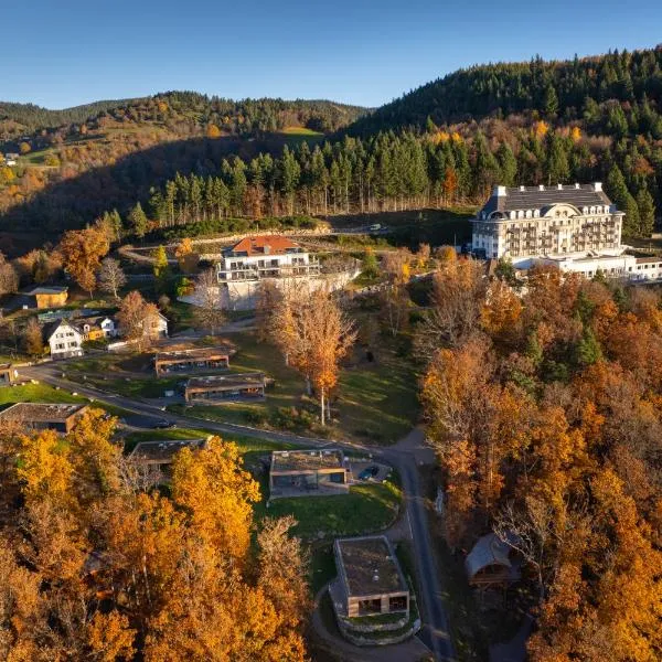 Domaine de Haslach, The Originals Collection, Résidence de Tourisme, готель у місті Мюнстер