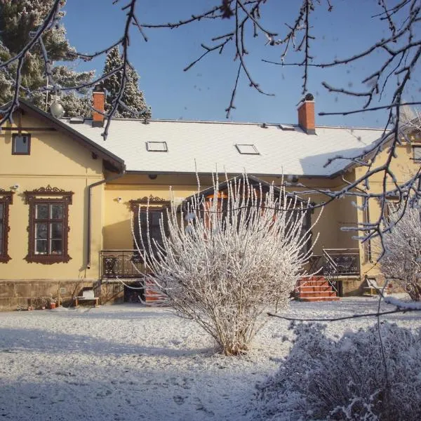 Apartments Šimákova Vila, hotel en Turnov