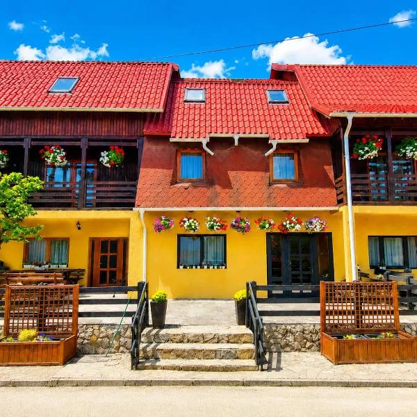 Casa Sandu-Sadova, Hotel in Sadová