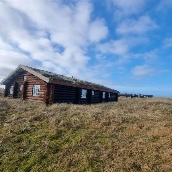 Beautiful log cabin near the water at Tornby-Hirtshals, hotel Hirtshalsban