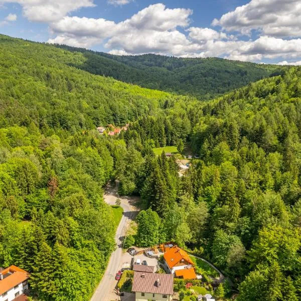 Przystanek Leśna-3 Apartamenty nad potokiem w sercu natury, hotel a Targanice