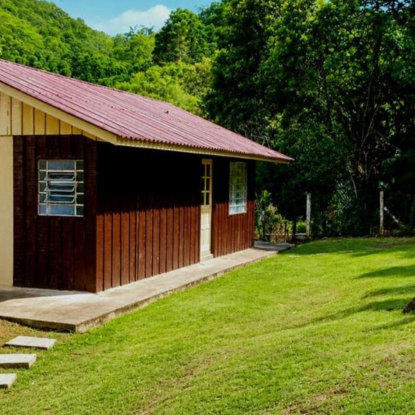 Casa em Chácara Campina Grande do Sul Pico Paraná Toca do Tatu