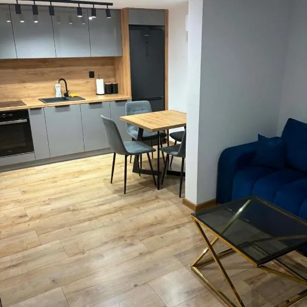 LUX HOUSE Roztocze Sauna i Bania z hydromasażem, hotelli kohteessa Krasnobród