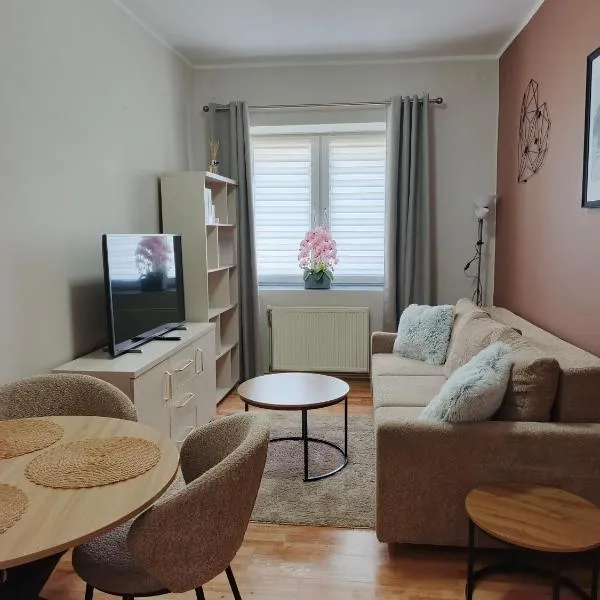 Apartament Międzylesie, hotel sa Międzylesie