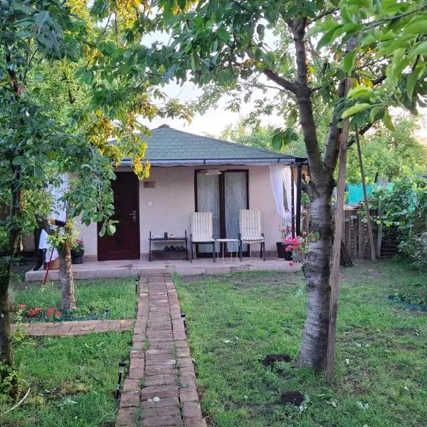 Danguba 5, hotel di Nova Pazova