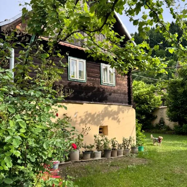 Casa Florica wooden house, hotel sa Gura Râului