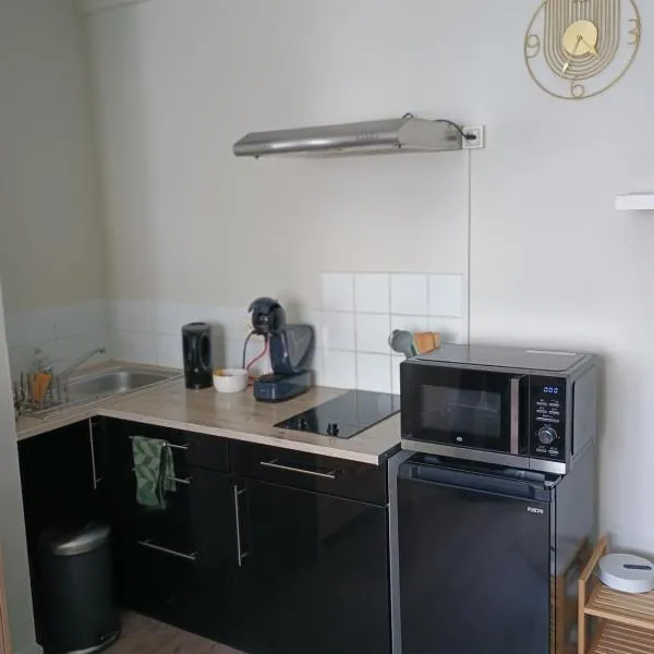 Rent studio 25 m2 city center, Brest, Hotel in Brest