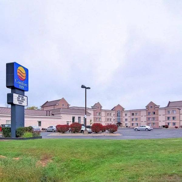 Comfort Inn Birch Run - Frankenmuth, Hotel in Birch Run