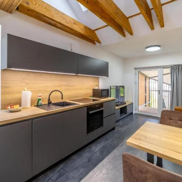 CASTLE Apartments Premium - City Center, hotell i Spišské Podhradie
