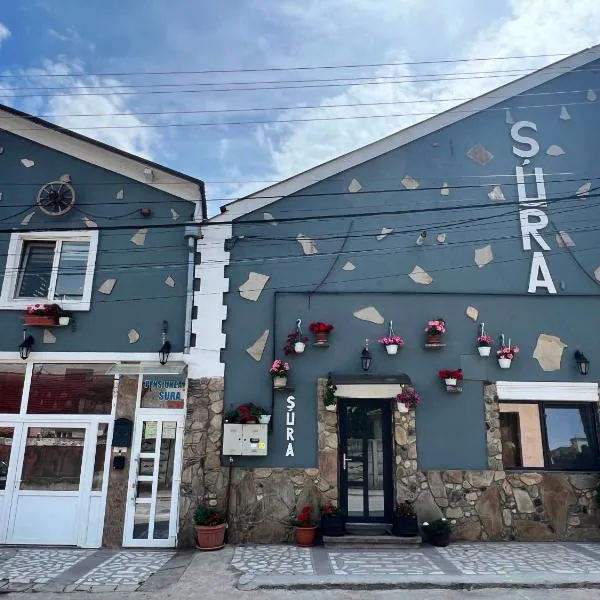 Pensiunea Sura, hotel in Orăştie