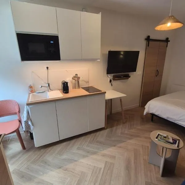 Joli studio en hypercentre avec entrée indépendante, hotel a Neuves-Maisons