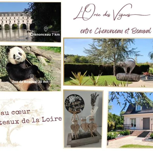 L'Orée des Vignes 41 - Chambres d'hôtes, hotel in Saint-Georges-sur-Cher