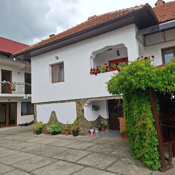 Pensiunea Ileana, hotel a Novaci-Străini