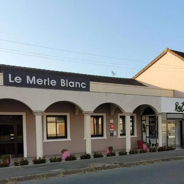 Le Merle Blanc: Digoin şehrinde bir otel