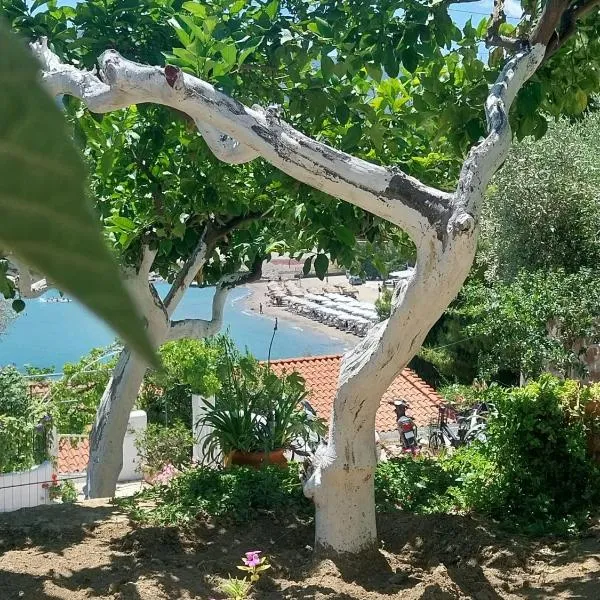 Sea View Garden, hotel in Poros