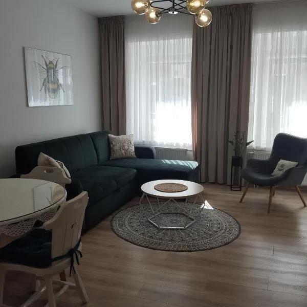 Apartament Miodownik, khách sạn ở Międzylesie