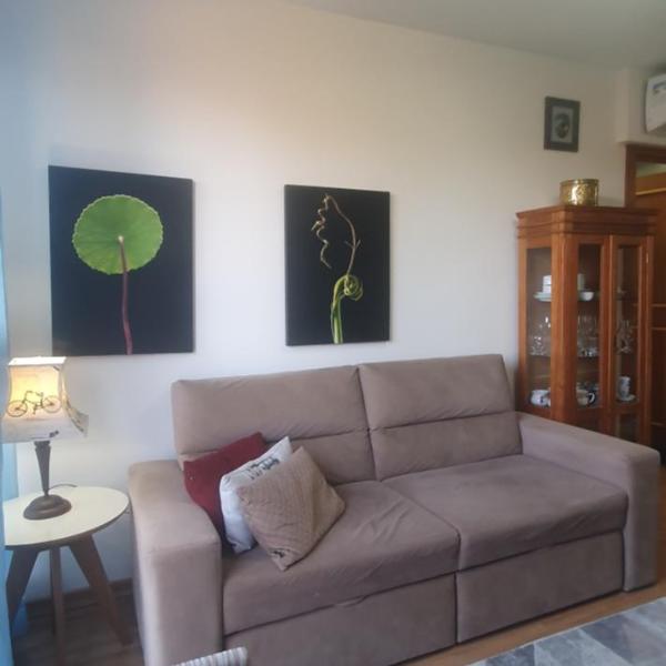 Charming apartment, Villa Suzana - Foto 3