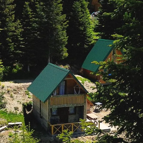 Mountain apartment-Komovi, хотел в Колашин