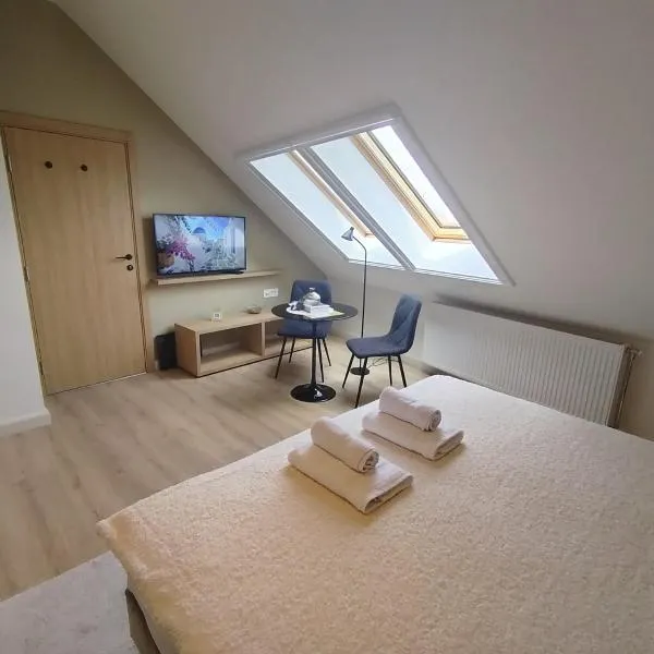 Vila Karlovčanka savršen boravak u srcu grada, hotel en Sremski Karlovci