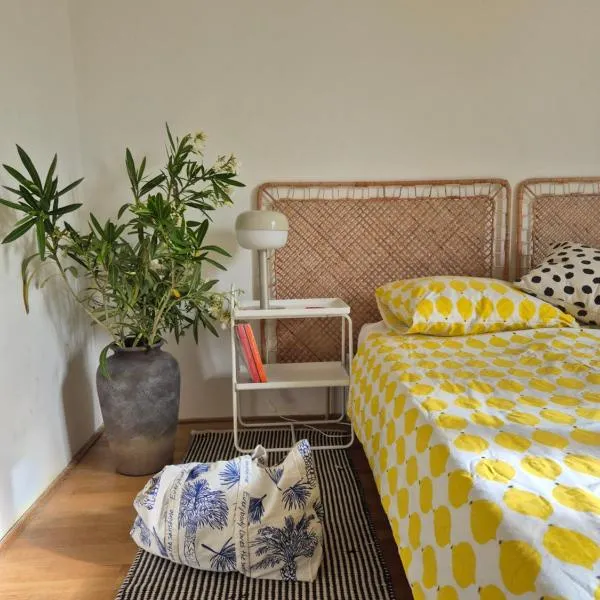 Otto Novalja, spacious penthouse apartment in city center, hotel in Novalja