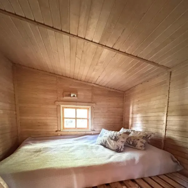The lake house, hotel in Mockava