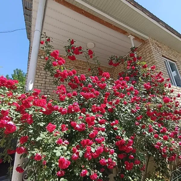 Guest house Kyzyl alma – hotel w mieście Arkit