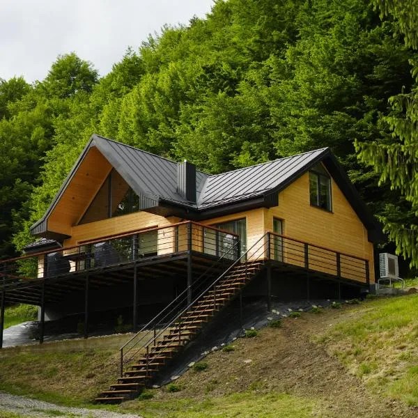 Три сосни, hotel a Kosiv