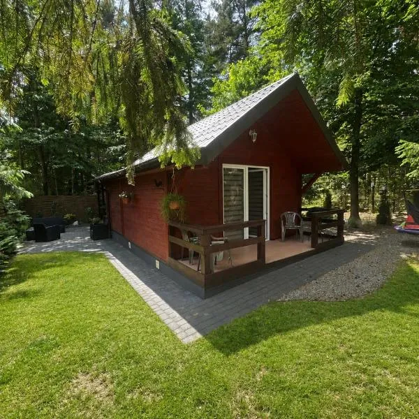 DOMEK POD SOSNAMI, hotel i Krasnobród