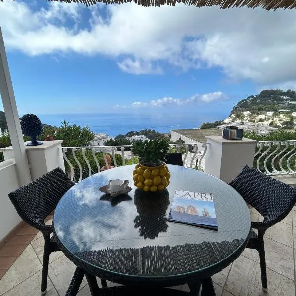 Villa La Panoramica Sea View, hôtel à Capri