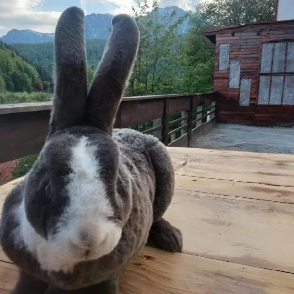 Doi Iepuri, hotel i Azuga