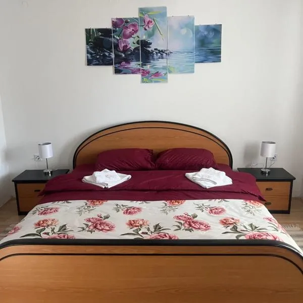 Orchidea Apartman、バーチュカ・トポラのホテル