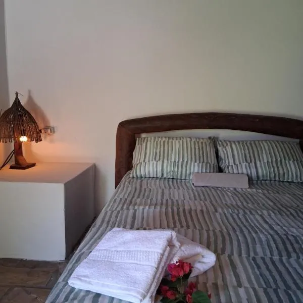 Bicho Grilo Hostel、アチンスのホテル