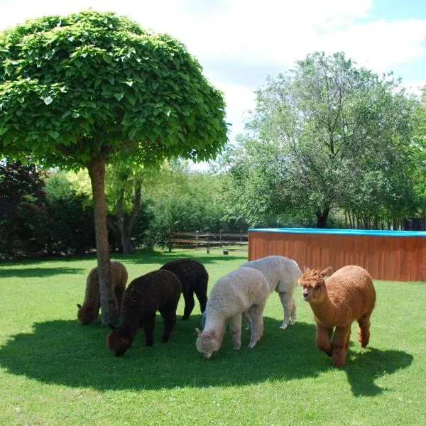Alpacacamp, hotel i Helvécia