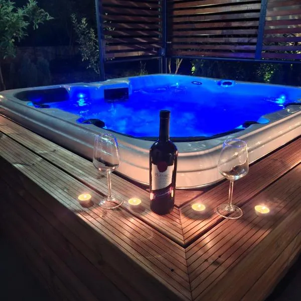 Didov kameni dvor-Stone House&Jacuzzi, hotel i Radonić
