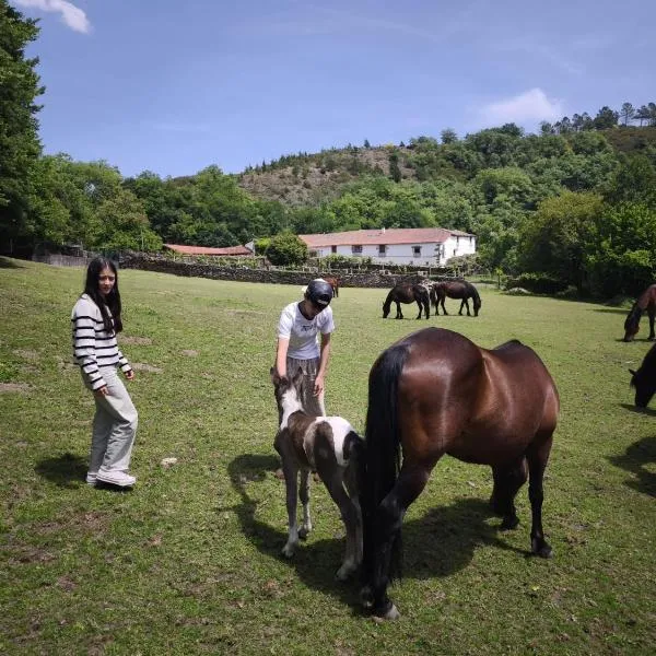 Casa Grande de Covas-Apartamentos Boutique en la Ribeira Sacra con finca privada de 80 ha, hotel em Taboada