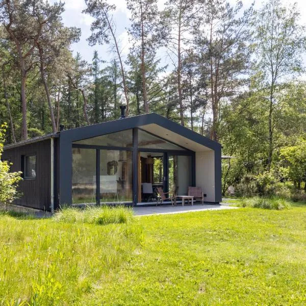 Design bungalow met wellness in parkbos, hotel a Giethmen