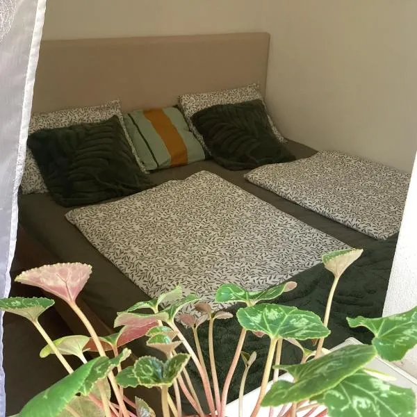 Všemina apartmán s terasou, hotel a Všemina