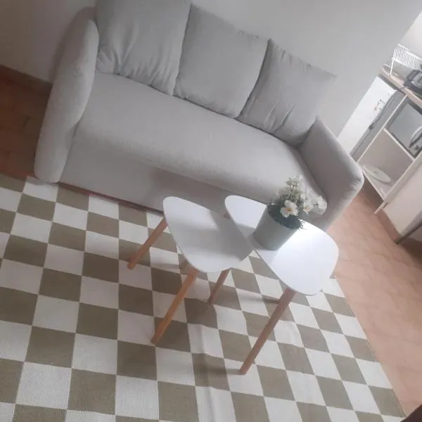 Bel appartement à 15 minutes d'Orly et de Paris, hotel in Villeneuve-Saint-Georges
