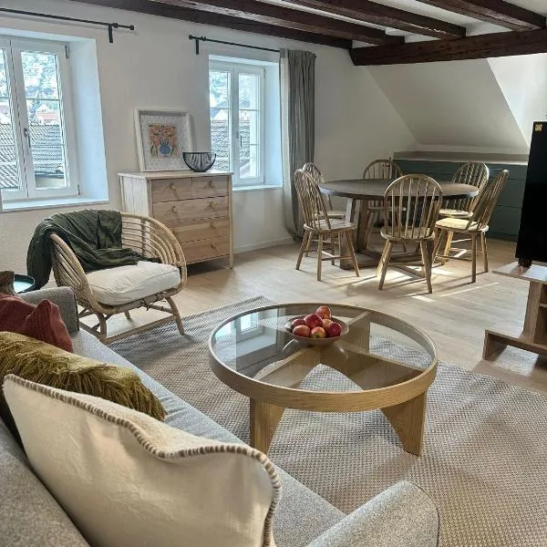 Stadtloft Suites Richterswil, Hotel in Richterswil