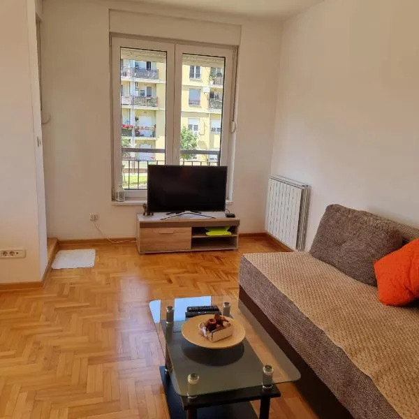 Vels Suite - Cozy Oasis & Free Parking: Voždivac şehrinde bir otel