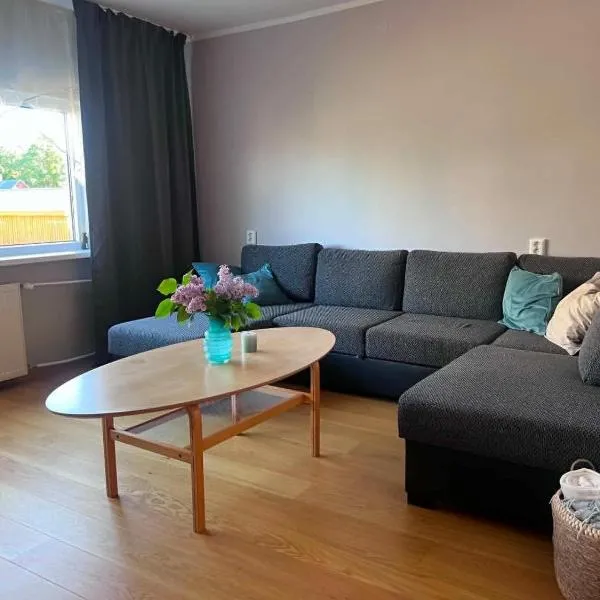 Viskoosa Näkmani Apartment, hotell Kõrgessaarel