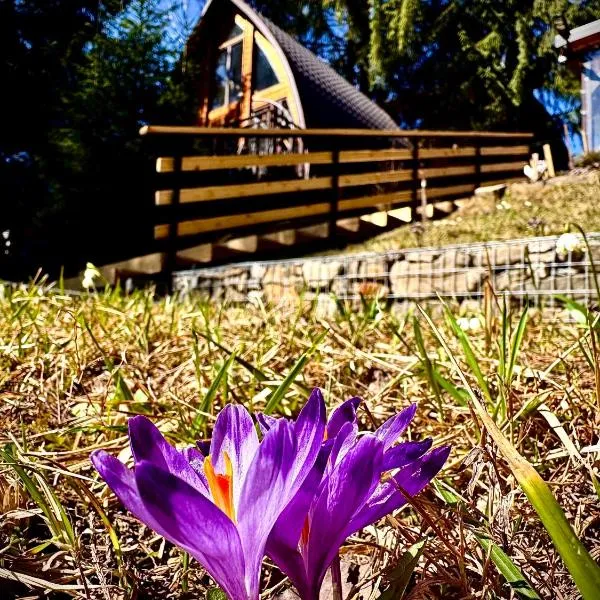 Апартаменти Smereka, hotel in Yablunytsya
