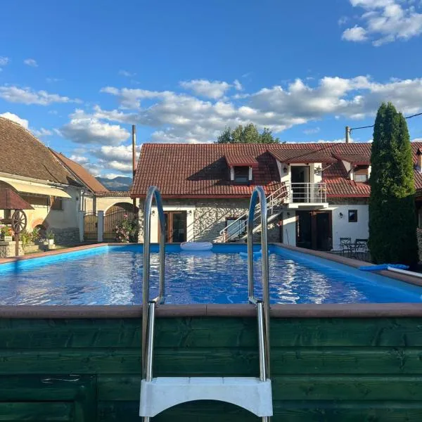 Casa de Piatra, Hotel in Porumbacu de Sus