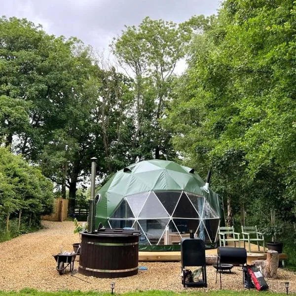 Cherry Tree Dome – hotel w mieście Smeeth